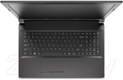 Ноутбук Lenovo IdeaPad B5030 (59443399)