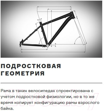 Велосипед Format 6413 Boy (черный матовый)
