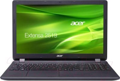 Ноутбук Acer Extensa EX2519-P0BT (NX.EFAER.014)