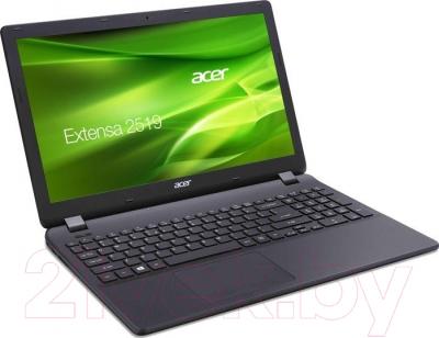 Ноутбук Acer Extensa EX2519-P0BT (NX.EFAER.014)