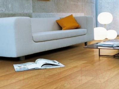 Изображение товара Ламинат Kronostar Home Дуб Беленый D2413