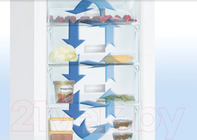 Изображение товара Холодильник с морозильником Liebherr CNef 3915