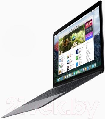 Ноутбук Apple MacBook (MLH72RU/A)