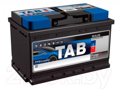 Автомобильный аккумулятор TAB Polar 246045 (45 А/ч)