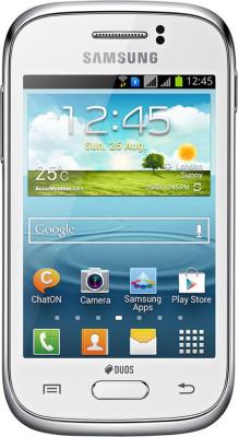 Смартфон Samsung S6312 Galaxy Young White (GT-S6312 ZWASER) - общий вид