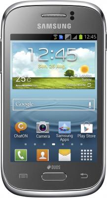 Смартфон Samsung S6312 Galaxy Young Silver (GT-S6312 MSASER) - общий вид