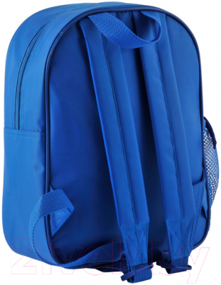 Школьный рюкзак Paso PMM-303