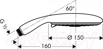 Душевой гарнитур Hansgrohe Raindance 28551000