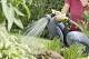 Миниатюра изображения товара Распылитель для полива Karcher Plus 2.645-290.0