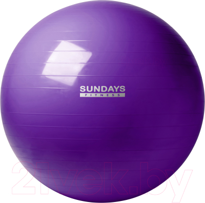 Фитбол гладкий Sundays Fitness IR97402-65 (фиолетовый)