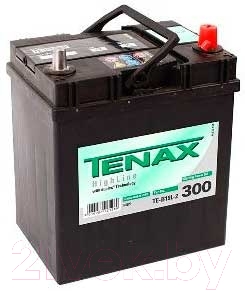 Автомобильный аккумулятор Tenax High 535118 Asia / 535251000 (35 А/ч)