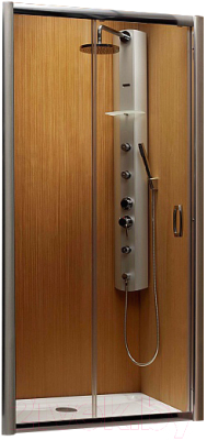 Душевая дверь Radaway Premium Plus DWJ / 33343-01-06N
