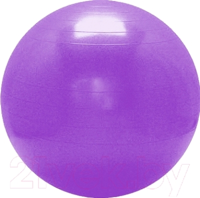 Фитбол гладкий Sabriasport 601114-2 (фиолетовый)