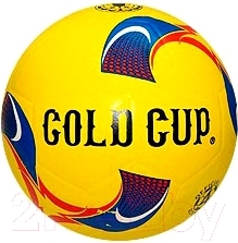 Футбольный мяч Gold Cup RS-S3