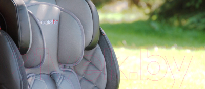 Автокресло Coletto Sportivo Only Isofix 2016 (серый)