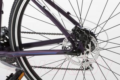 Велосипед Kross Evado 2.0 2016 (M, синий/фиолетовый матовый)
