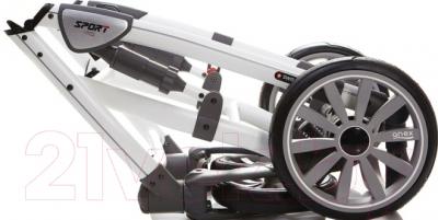 Детская универсальная коляска Anex Sport 3 в 1 (PA01)