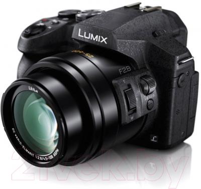 Компактный фотоаппарат Panasonic Lumix DMC-FZ300EEK