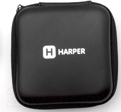 Беспроводные наушники Harper HB-100 (черный/серебристый)