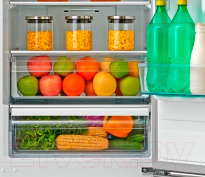 Холодильник с морозильником Teka NFL 430 Inox (40672020)