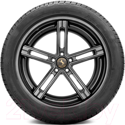 Зимняя шина Continental ContiWinterContact TS 830 P 225/45R17 91H RunFlat