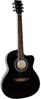 Акустическая гитара Aileen AF 227A (черный)