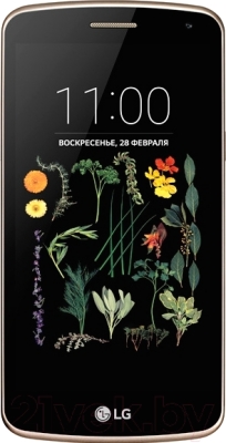 Смартфон LG K5 / X220DS (черный/золото)