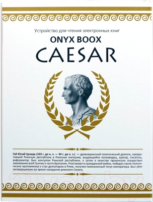 Электронная книга Onyx Boox Caesar (черный)