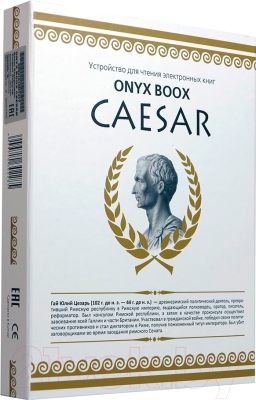 Электронная книга Onyx Boox Caesar (черный)