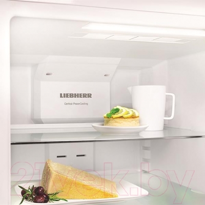 Холодильник с морозильником Liebherr CTN 5215