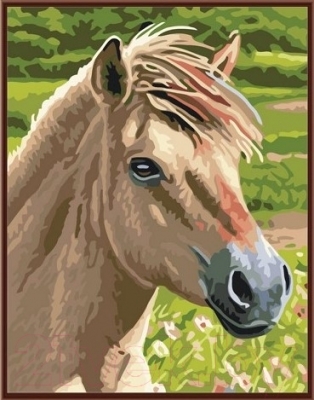 Картина по номерам Picasso Лошадь №3 (PC3040011)