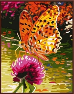 Картина по номерам Picasso Оранжевая бабочка (PC3040014)