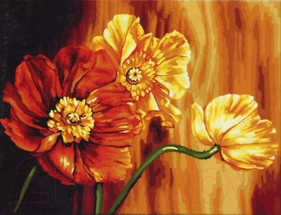 Картина по номерам Truehearted Знойные цветы (HB3040135)