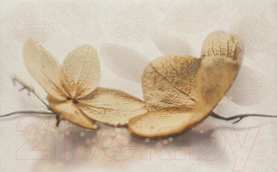 Декоративная плитка Cersanit Samanta Flower (250x400)