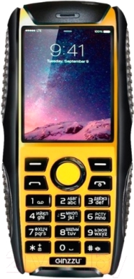 Мобильный телефон Ginzzu R41D (черный/оранжевый)