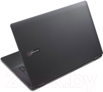 Ноутбук Packard Bell EasyNote LG81BA-C4CV (NX.C44ER.003)