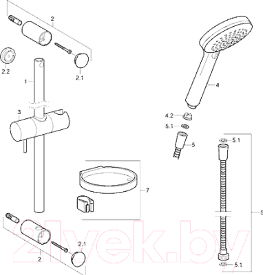 Душевой гарнитур Hansa Viva 44150110