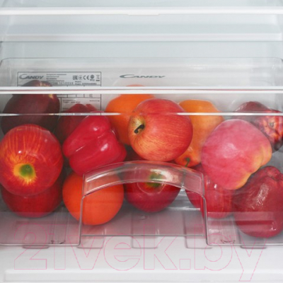Холодильник с морозильником Candy CCTOS502W (34002265)
