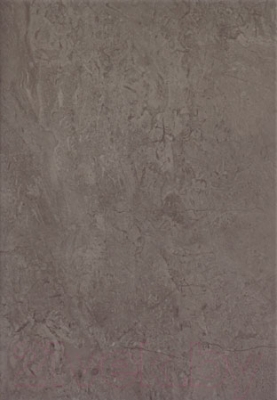 Плитка Tubadzin Amarena Grafit (250x360)