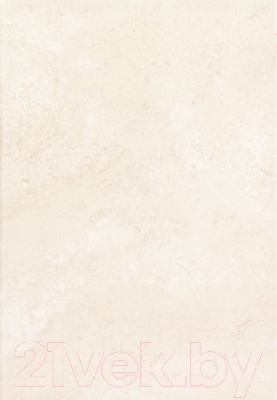 Плитка Tubadzin Amarena (250x360)
