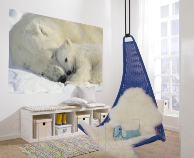 Фотообои листовые Komar Polar Bears 1-605 (184x127)