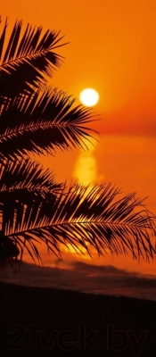 Фотообои листовые Komar Sunset 2-1006 (97x220)
