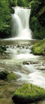 Фотообои листовые Komar Ellowa Falls 2-1047 (97x220)