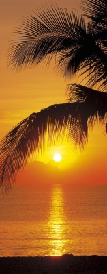 Фотообои листовые Komar Palmy Beach Sunrise 2-1255 (92x220)