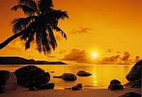 

Фотообои листовые Komar, Sunset 8-316