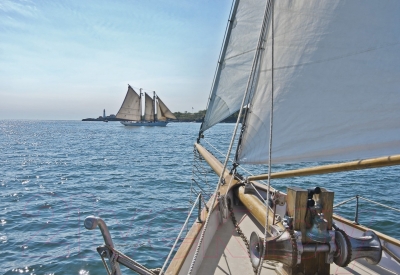 Фотообои листовые Komar Sailing 8-526 (368x254)