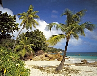 

Фотообои листовые Komar, Praslin 8-885