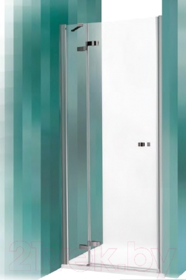 Душевая дверь Roltechnik Elegant Line GDNL1/100 (хром/прозрачное стекло)