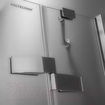 Душевая дверь Roltechnik Elegant Line GDNL1/100 (хром/прозрачное стекло)