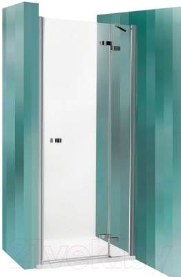 Душевая дверь Roltechnik Elegant Line GDNP1/100 (хром/прозрачное стекло)